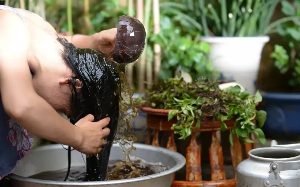 goi dau bang dau goi thao duoc